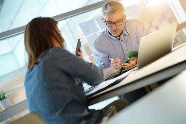 Birlikte çalışma office, meslektaşları dizüstü bilgisayar kullanarak