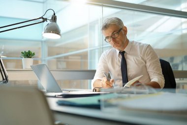 İşadamı Danışma dizüstü bilgisayar üzerinde çalışan Office