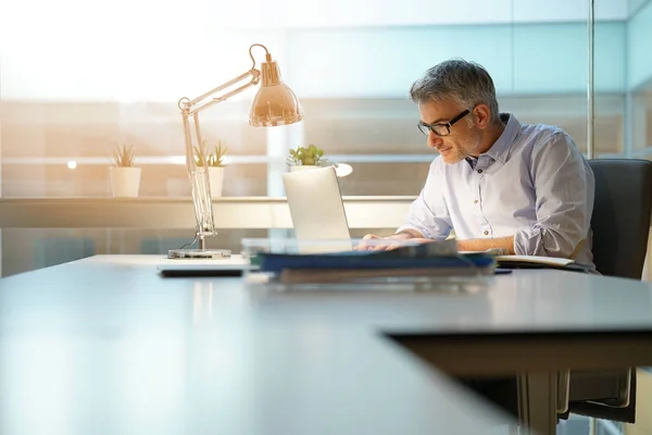 Şadamı Office Dizüstü Bilgisayar Ile Birlikte Çalışma — Stok fotoğraf