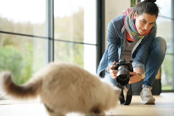 女摄影师拍照猫 — 图库照片
