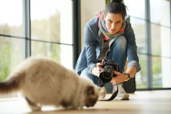 猫の写真を撮る人の女性カメラマン — ストック写真