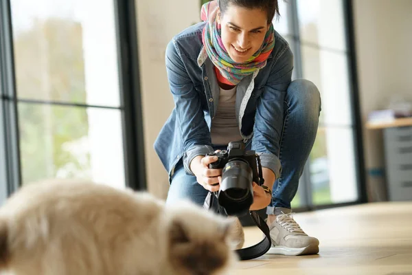 猫の写真を撮る人の女性カメラマン — ストック写真