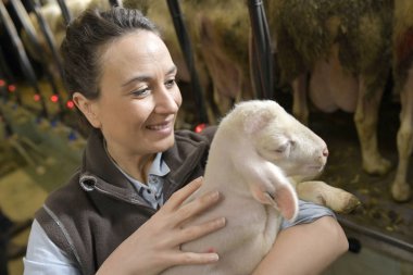 Çiftçi kadın kuzu kollarında