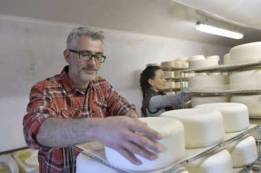 Peynirci'ye peynir mahzeni üretimde kontrol