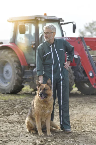 Αγρότης Χάιδεμα Σκύλο Έξω Από Στάβλο Τρακτέρ Στο Παρασκήνιο — Φωτογραφία Αρχείου