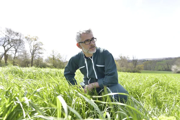 Farmer Field Checking Crops — Stock Photo, Image