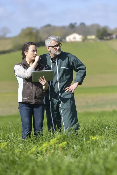 Casal Agricultores Campo Usando Tablet Digital — Fotografia de Stock