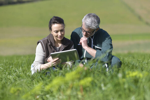 Couple of farmers in field using digital tablet