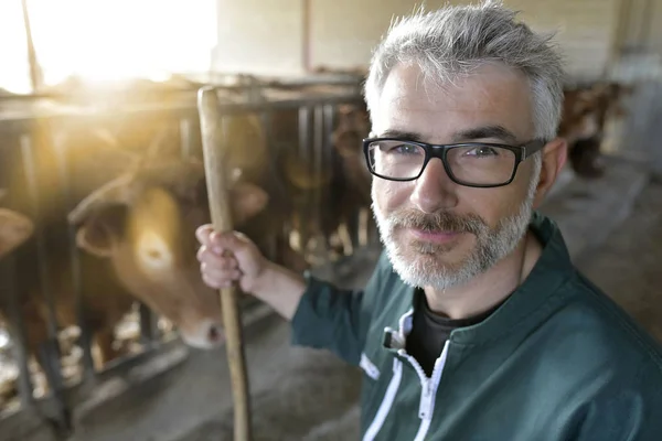 Agricoltore Sorridente Piedi Nel Capanno Delle Mucche — Foto Stock