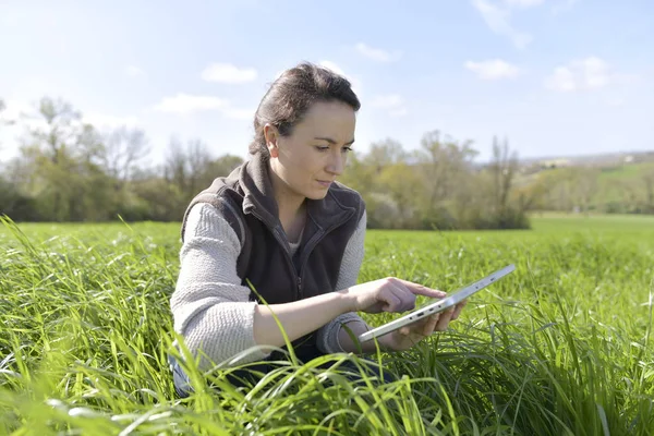 Agronom Oblasti Oříznutí Pomocí Digitálních Tabletu — Stock fotografie