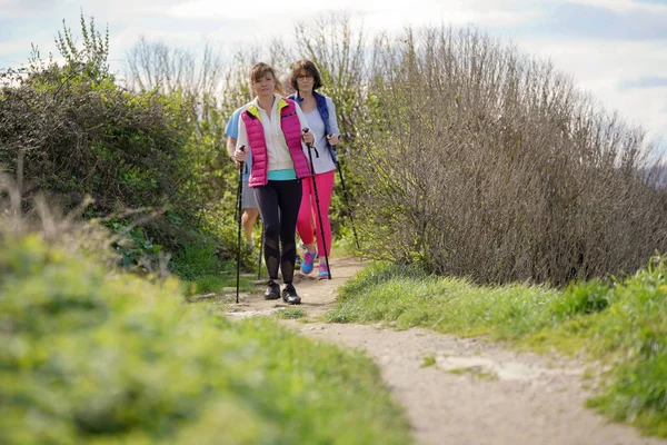 Senior People Nordic Walking Atlantic Coast — Stock Photo, Image