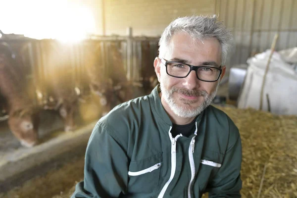 Agricoltore Sorridente Piedi Nel Capanno Delle Mucche — Foto Stock