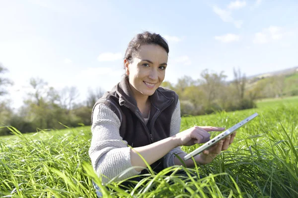 Agronomista Campo Cultivo Usando Tablet Digital — Fotografia de Stock