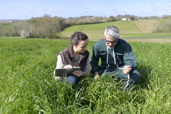 Couple Agriculteurs Dans Domaine Utilisant Une Tablette Numérique — Photo