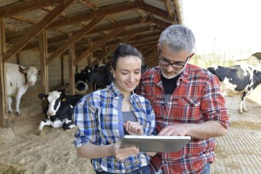 Cowshed çiftçiler kaç tablet ile bağlı