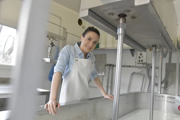 Schapen Kaas Maker Laboratorium — Stockfoto