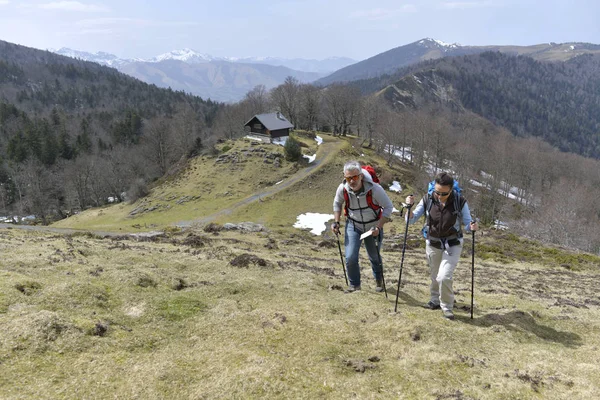 Couple Sur Une Journée Trekking Dans Montagne — Photo