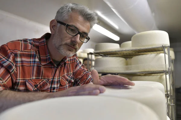 Fabricante Queijo Verificando Produção Adega Queijo — Fotografia de Stock