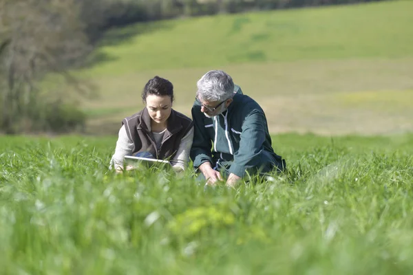 Coppia Agricoltori Campo Con Tablet Digitale — Foto Stock