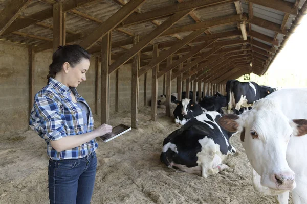 Farmer Donna Collegata Con Tablet Stalla — Foto Stock