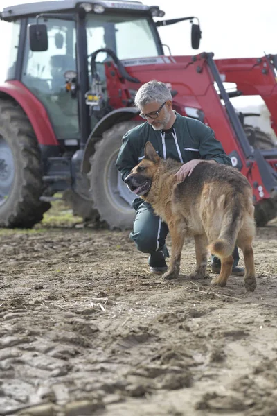 Αγρότης Χάιδεμα Σκύλο Έξω Από Στάβλο Τρακτέρ Στο Παρασκήνιο — Φωτογραφία Αρχείου