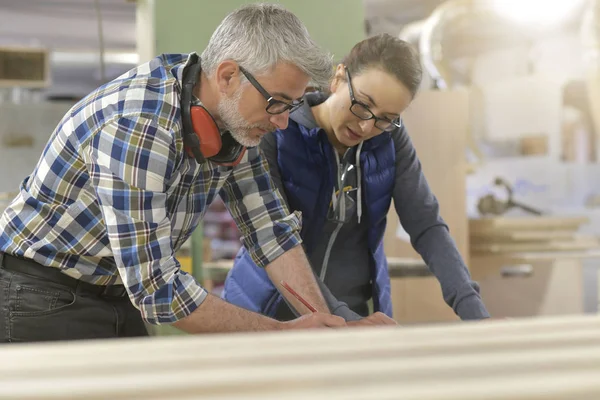 Técnicos Industria Madera Trabajando Juntos Proyecto — Foto de Stock