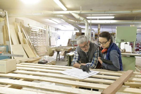 Träindustritekniker Som Arbetar Tillsammans Med Projekt — Stockfoto