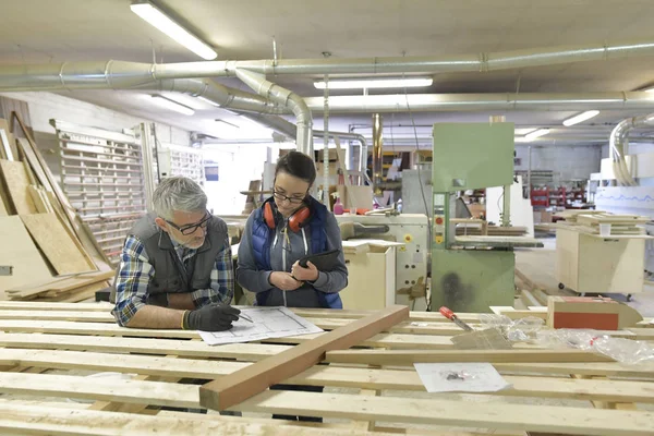 Técnicos Indústria Madeira Que Trabalham Conjunto Projeto — Fotografia de Stock