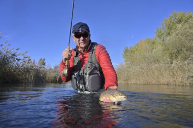 Büyük kahverengi bir alabalığı sineğin içine alıyor.