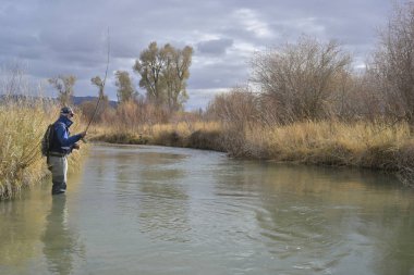 Montana 'daki nehir sineği balıkçıları.