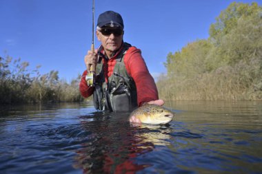 Büyük kahverengi bir alabalığı sineğin içine alıyor.