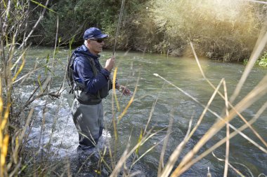 Sonbaharda ve hızlı nehirde uçan balıkçılar