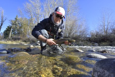 Güzel, kahverengi bir alabalığı sinekle alıyorum.