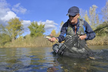 Büyük kahverengi bir alabalığı sineğin içine alıyor.