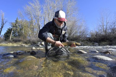 Güzel, kahverengi bir alabalığı sinekle alıyorum.