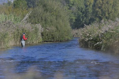 Sonbaharda ve hızlı nehirde uçan balıkçılar