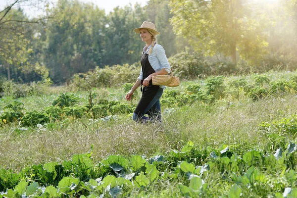 Mulher Agricultor Caminhando Campo Agrícola — Fotografia de Stock