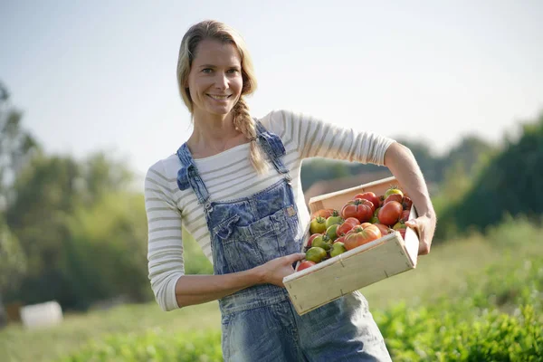 Mujer Campesina Sonriente Sosteniendo Caja Tomates Orgánicos —  Fotos de Stock