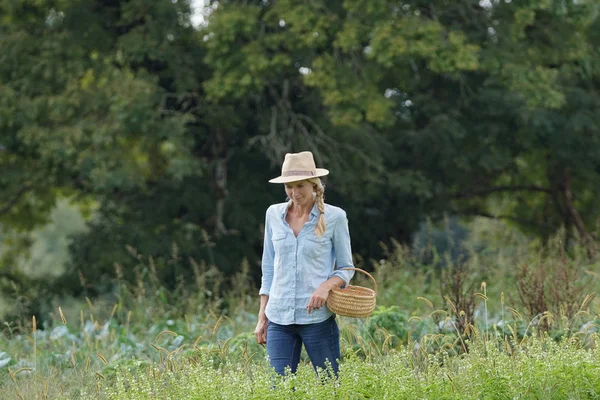 Farmer Woman Walking Agricultural Field — Stock Photo, Image