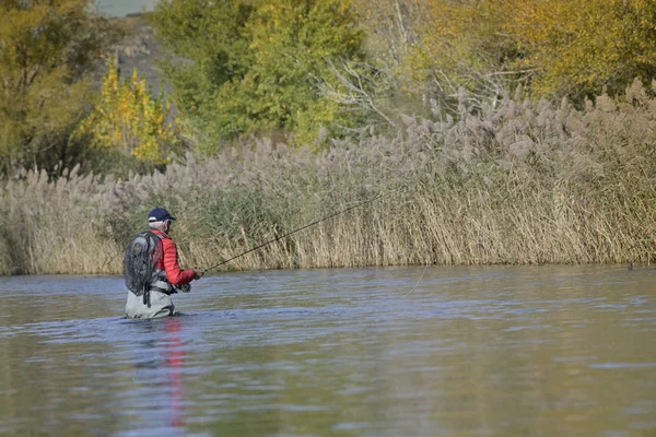 Latający Rybak Jesienią Szybką Rzeką — Zdjęcie stockowe