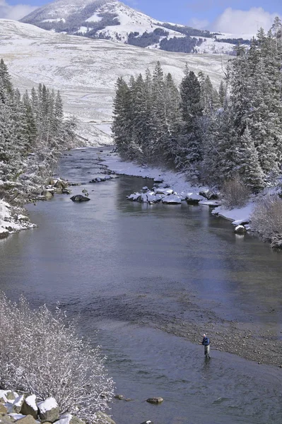 Montana Daki Nehir Sineği Balıkçıları — Stok fotoğraf