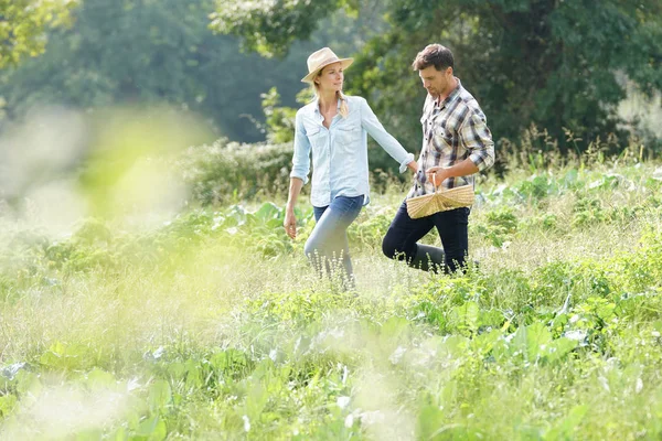 Casal Agricultores Que Caminham Campo Agrícola — Fotografia de Stock