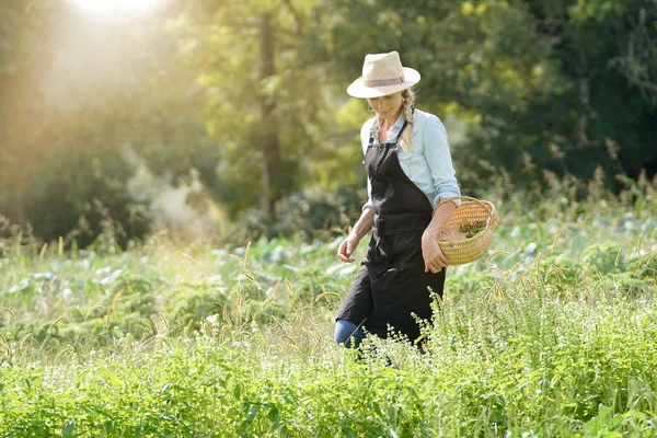Mulher Agricultor Caminhando Campo Agrícola — Fotografia de Stock