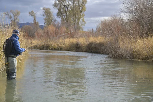 Pêcheur Mouche Dans Montana — Photo