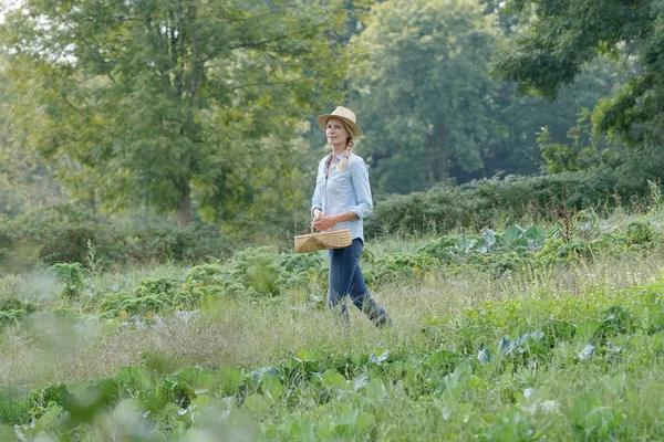 Farmer Woman Walking Agricultural Field — Stock Photo, Image