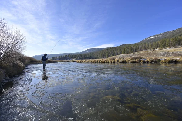 Pescador Moscas Río Montana Otoño — Foto de Stock