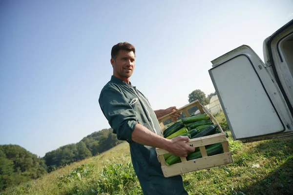 Farmer Loading Crate Zucchinis Truck — Stock Photo, Image
