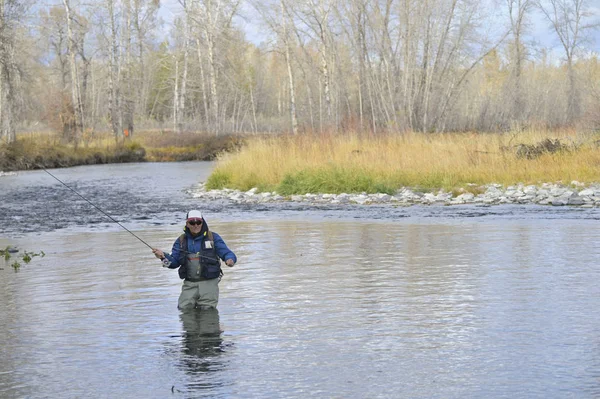 River Fly Fisherman Montana — Stock Photo, Image