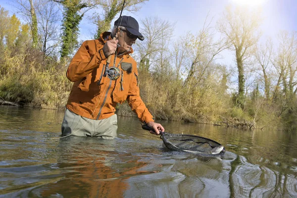 Capture Une Truite Par Pêcheur Mouche Automne — Photo