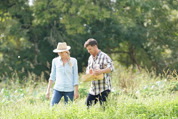 Couple Farmers Walking Agricultural Field — Stock Photo, Image